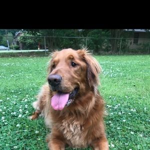 Meet your Posher, Parker